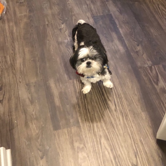 Meet your Posher, Erick - Picture 1 of 1